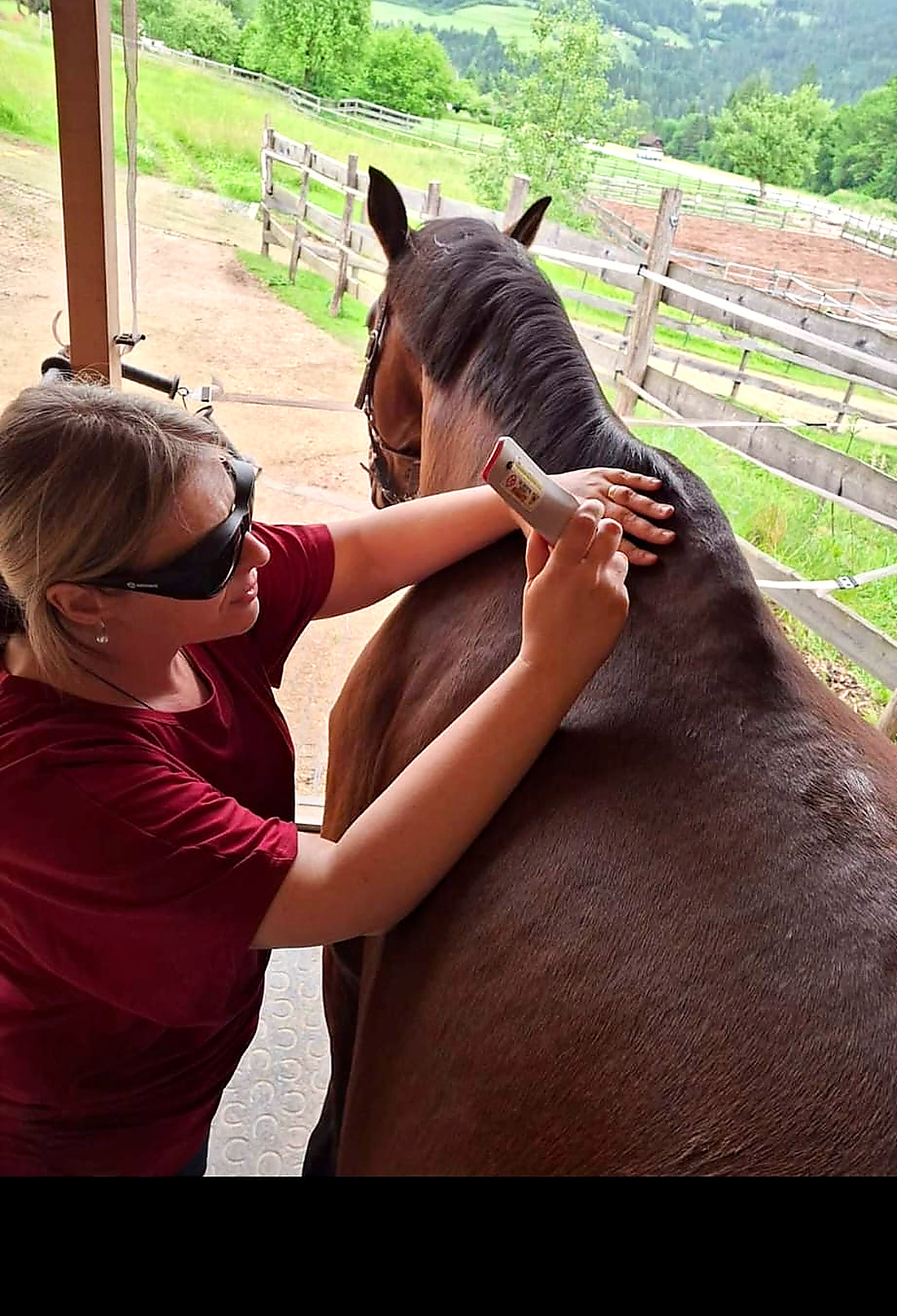Heidemarie Tischler bei der Softlaser-Anwendung an einem Pferd, mit Schutzbrille